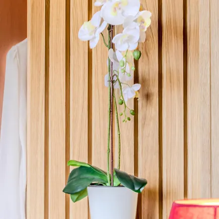 Il Panoramico 4* カリアリ