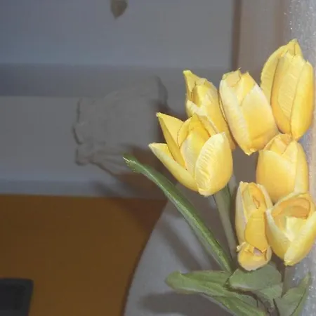 Il Panoramico Guest house 4*